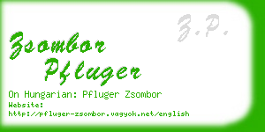 zsombor pfluger business card